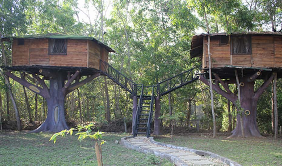 Fly cheap catcher resort